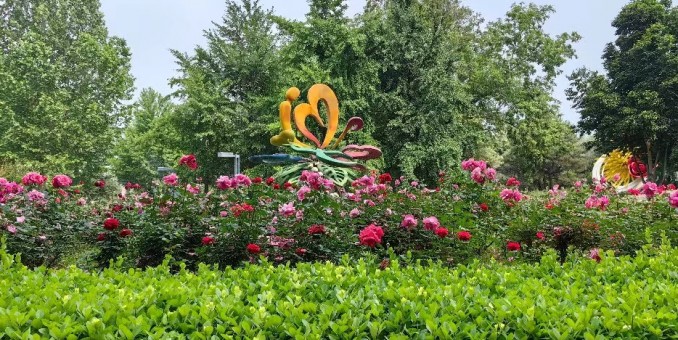 剛贊此中多美景  大媽亮相百花羞