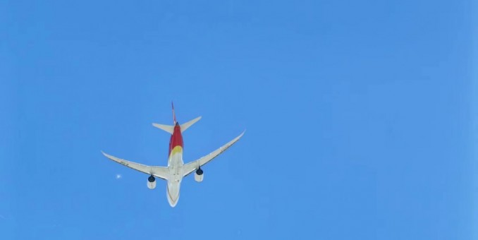 私利熏心天怒怨  辱悲柱上豈能脫