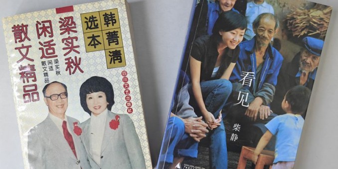 風(fēng)雨客登門(mén),古今石化人,任子臣,葉建華