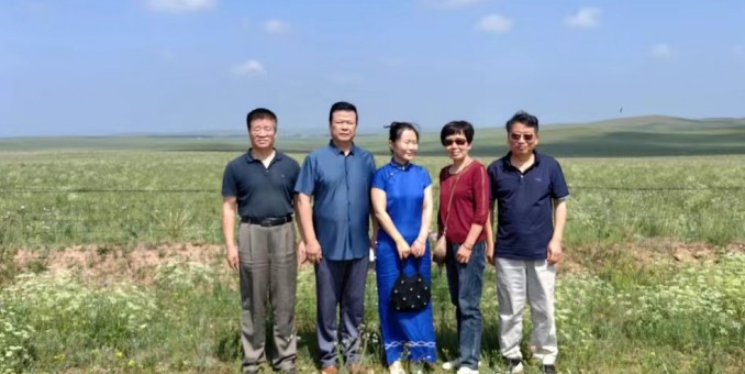 牛羊自在馬肥壯  佳釀飄香揚美名