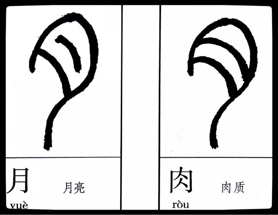 《劉云鶴篆刻附小篆辨似》一書出版問世