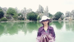 劉抑揚(yáng)簡介