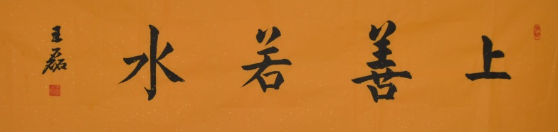 王磊簡(jiǎn)介